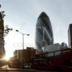 gherkin_at_sunset